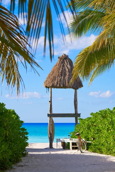 Holbox eiland palm tree hutten Mexico — Stockfoto