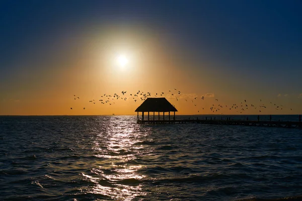 Holbox Island günbatımı plaj pier kulübe Meksika — Stok fotoğraf