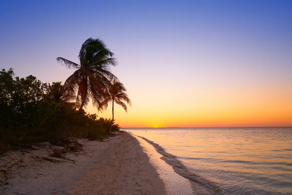 Holbox острів пляж заходу сонця Мексики — стокове фото