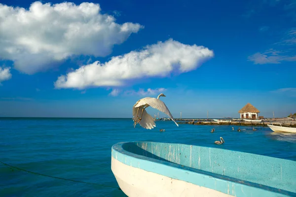 Holbox Insel Reiher Vogel und Boot in einem Strand — Stockfoto