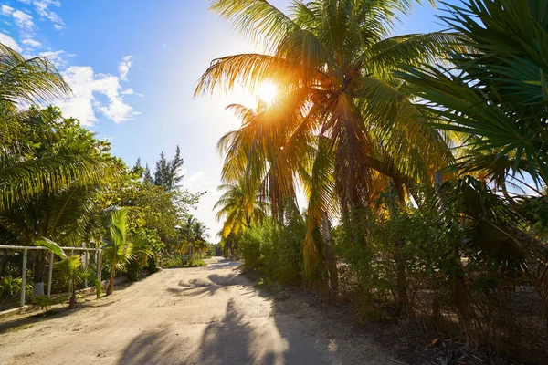 Tropiska Holbox Island i Quintana Roo Mexiko — Stockfoto