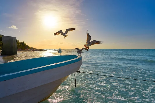 Tropiska Holbox Island i Quintana Roo Mexiko — Stockfoto