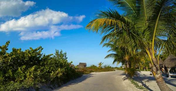 Holbox île tropicale à Quintana Roo Mexique — Photo