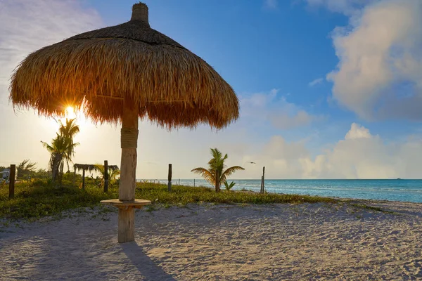 Holbox Island beach ηλιοροφή Μεξικό — Φωτογραφία Αρχείου