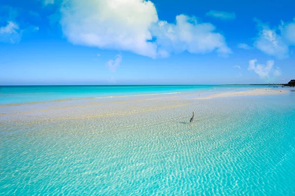 Karib-tenger türkizkék tökéletes tengerparti Riviera Maya — Stock Fotó