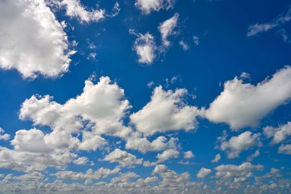 青い夏の空白い雲 — ストック写真