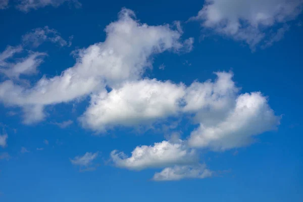 Cielo azul de verano nubes cúmulos blancas —  Fotos de Stock