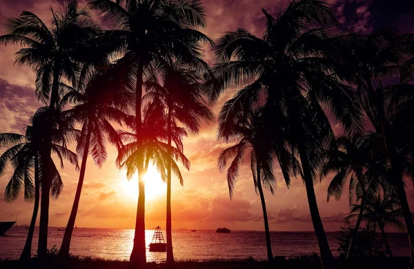 Ηλιοβασίλεμα παραλία στην Καραϊβική νησί της Isla Mujeres — Φωτογραφία Αρχείου