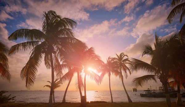 Isla Mujeres wyspa Karaibska Plaża Zachód słońca — Zdjęcie stockowe