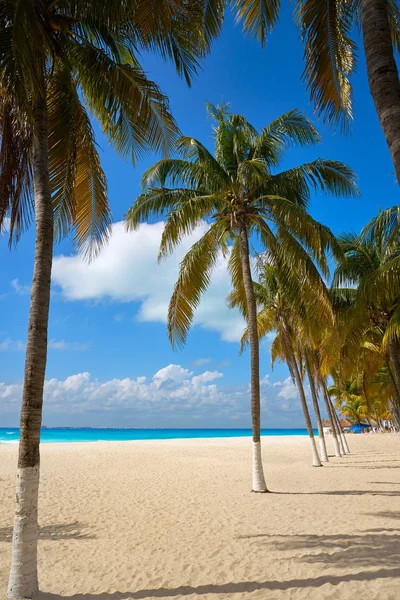 Isola di Isla Mujeres Spiaggia dei Caraibi Messico — Foto Stock