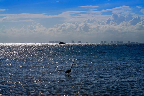 Zone hôtelière de Cancun depuis l'île d'Isla Mujeres — Photo
