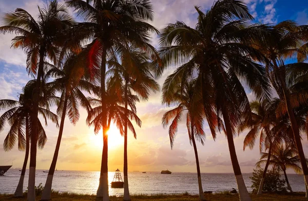 Isla Mujeres île Caraïbes plage coucher de soleil — Photo