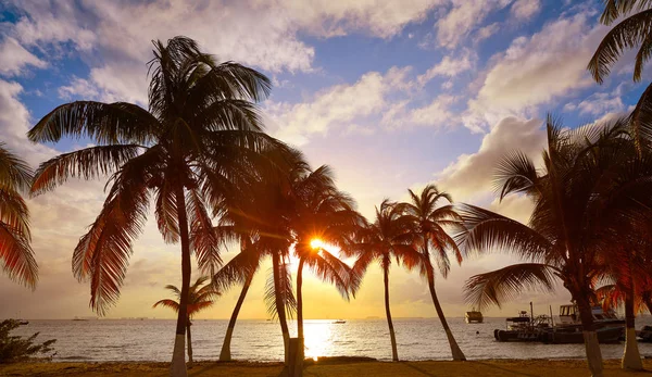 Острів Isla Mujeres Карибського басейну Пляж захід — стокове фото