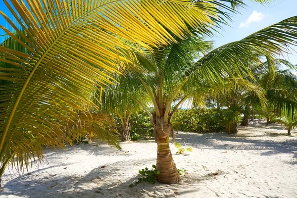 Spiaggia caraibica Mahahual in Costa Maya — Foto Stock