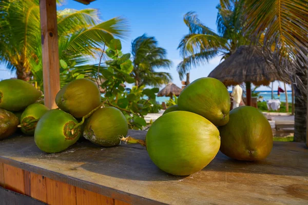 Frutos de coco caribeño en Riviera Maya —  Fotos de Stock