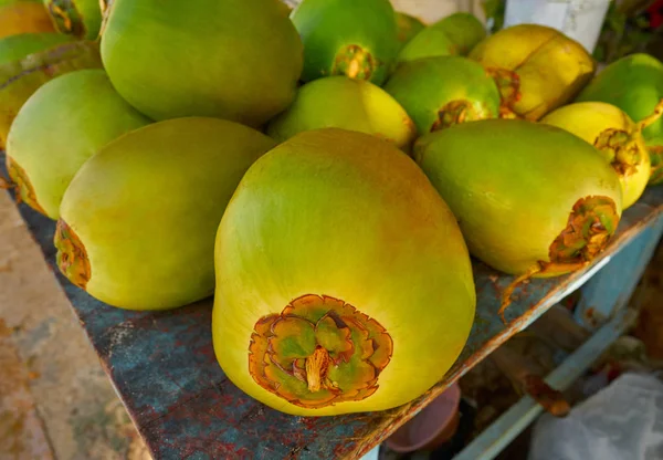 Karibische Kokosnussfrüchte in Riviera Maya — Stockfoto