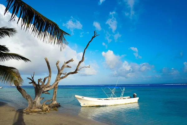 Mahahual Карибського басейну Пляж в Коста Майя — стокове фото