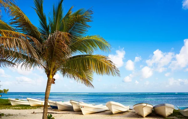 Mahahual Карибського басейну Пляж в Коста Майя — стокове фото