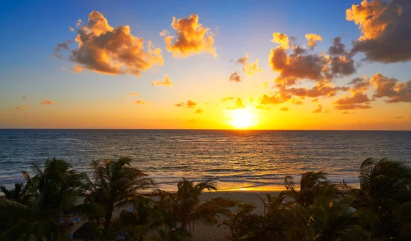 Costa Maya Mahahual Caribbean beach — Stok fotoğraf