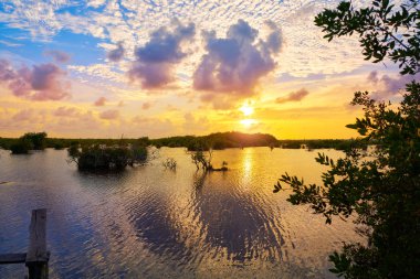 Riviera Maya Mangroove gün batımı