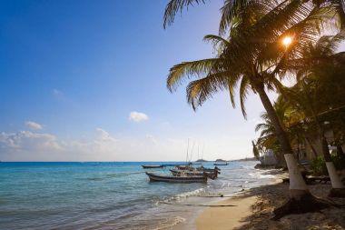Playa del Carmen beach palm ağaçlar Meksika