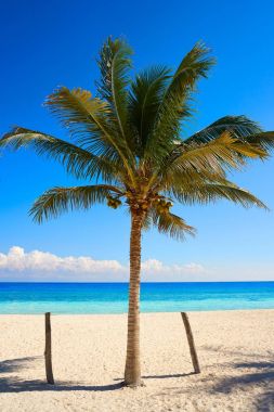 Riviera Maya Puerto Morelos beach