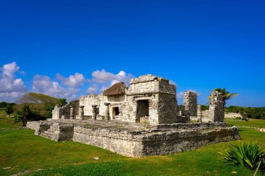 Riviera Maya tulum Maya şehir kalıntıları