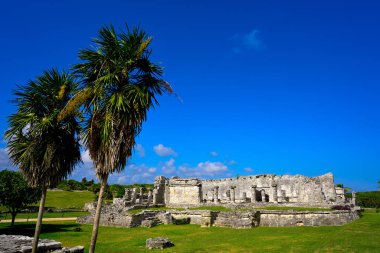 Riviera Maya tulum Maya şehir kalıntıları