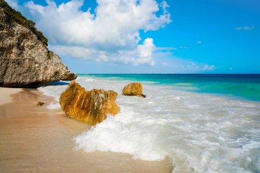 Tulum beach palm ağacında Riviera Maya 