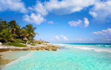 Tulum Caribbean beach in Riviera Maya clipart