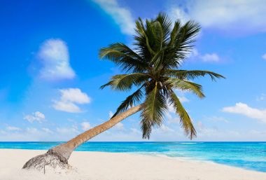 Riviera Maya tulum Caribbean beach