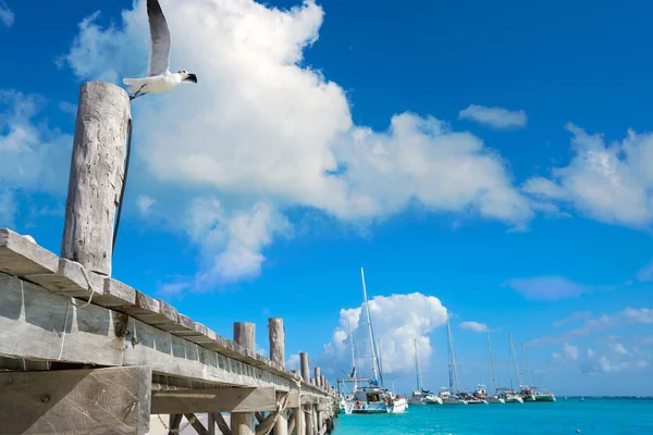 Riviera Maya Maroma Caribbean beach Mexico — Stock Photo, Image