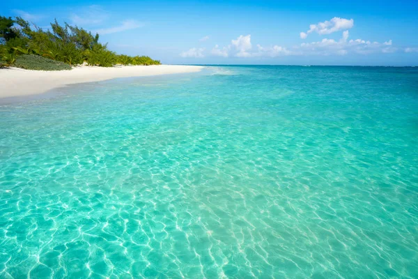 Ривьера Майя Карибский пляж бирюзовый Мексика — стоковое фото