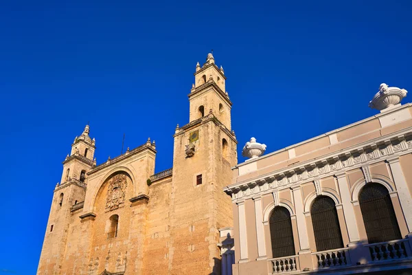 Кафедральный собор Мериды Сан-Идефонсо — стоковое фото