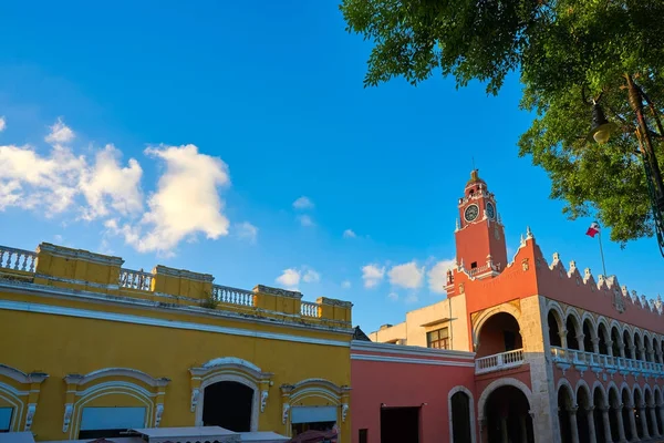 Merida rådhus i Yucatan Mexico - Stock-foto