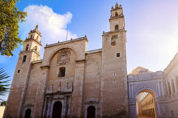 Cattedrale di Merida San Idefonso dello Yucatan — Foto Stock