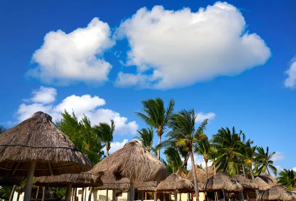 Playa del carmen strand sonnendächer mexiko — Stockfoto