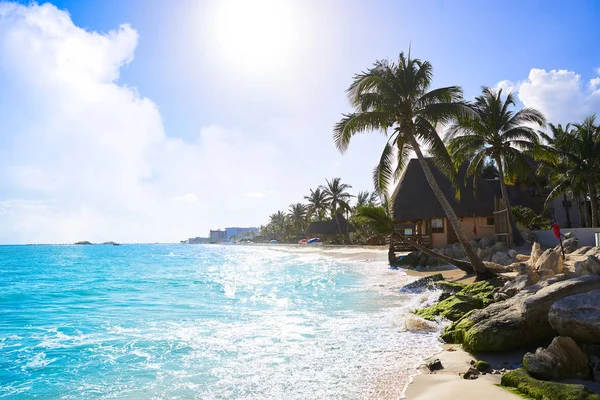 Spiaggia Playa del Carmen palme Messico — Foto Stock