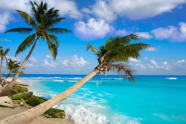 Playa del Carmen plaży palmami Meksyk — Zdjęcie stockowe