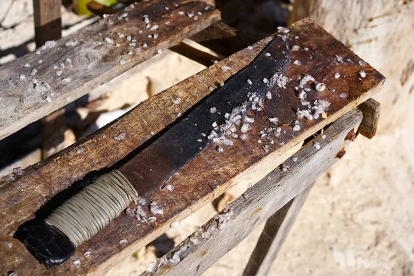 Schoonmaak afwikkel vissen hout Riviera Maya — Stockfoto