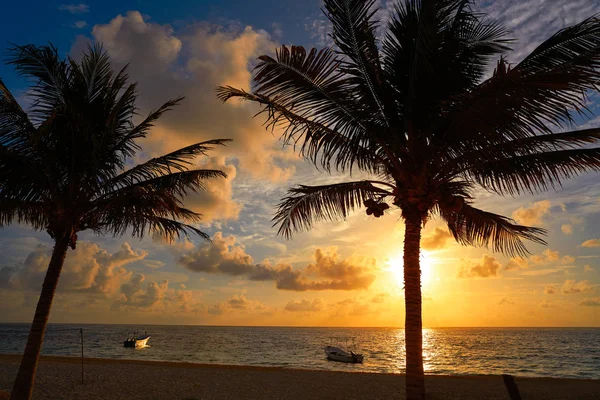 Caribische zonsopgang palm bomen Riviera Maya — Stockfoto