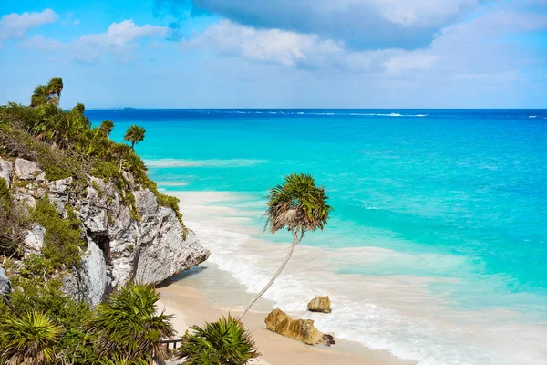 Palmier de plage turquoise Tulum sur la Riviera Maya à Maya — Photo