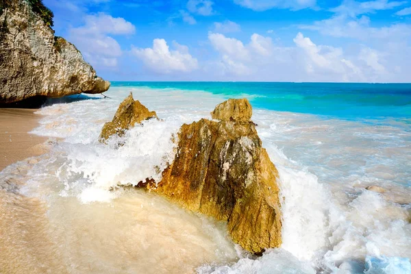 Tulum  beach  palm tree in Riviera Maya — Stock Photo, Image