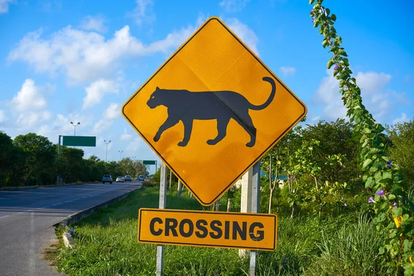 Road sign panther Jaguar crossing mexico — Stock Photo, Image