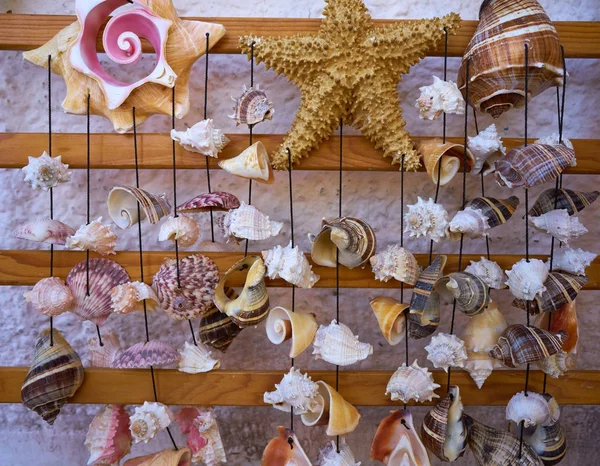Seashell mobile wind chime hanging mexico — Stock Photo, Image