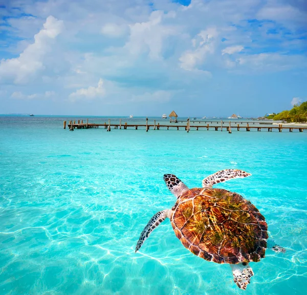 Isla Mujeres wyspa Karaibów plaży Meksyk — Zdjęcie stockowe