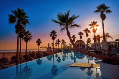 Palmiye ağaçları gündoğumu ile bir plaj Resort havuz