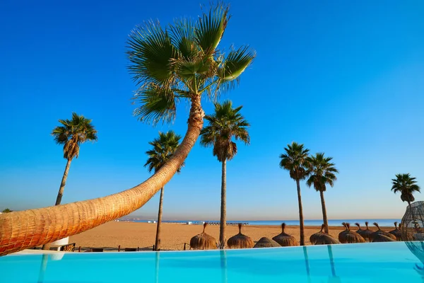 Resort piscina a sfioro in una spiaggia con palme — Foto Stock