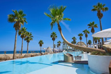 tatil resort havuz ve palmiye ağaçları ile