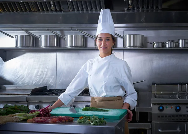 Chef mulher retrato cozinha no restaurante cozinha — Fotografia de Stock